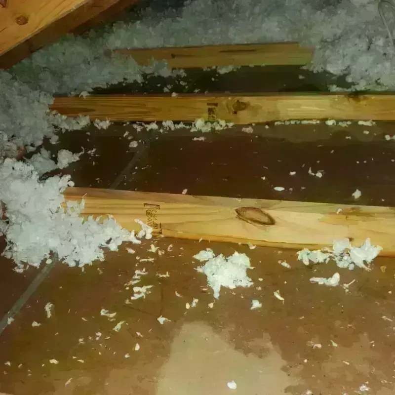 Attic Water Damage in West Bishop, CA