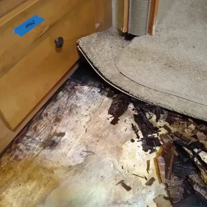 Best Wood Floor Water Damage Service in West Bishop, CA